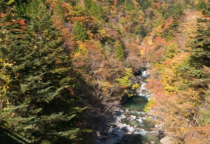 201411071127-DSC06919N6.jpg