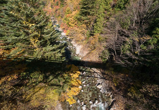 201411071130-DSC06931N6.jpg