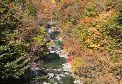 201411071137-DSC06940N6.jpg