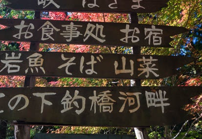 201411071139-DSC06945N6.jpg