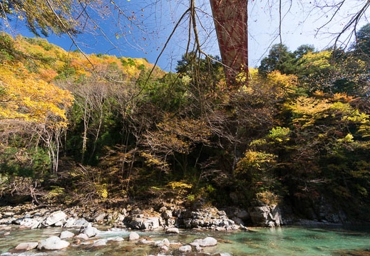 201411071150-DSC06969N6.jpg