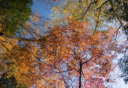 201411071219-DSC07028N6.jpg