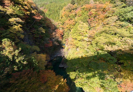 201411071344-DSC07176N6.jpg