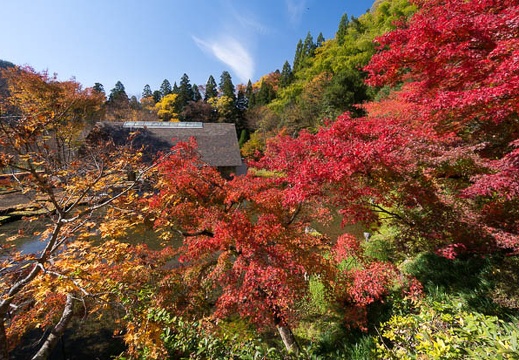 201411101124-DSC07400N6.jpg
