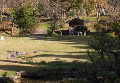 201411101203-DSC00311.jpg