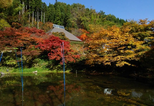 20141110121539-SH-06F.jpg