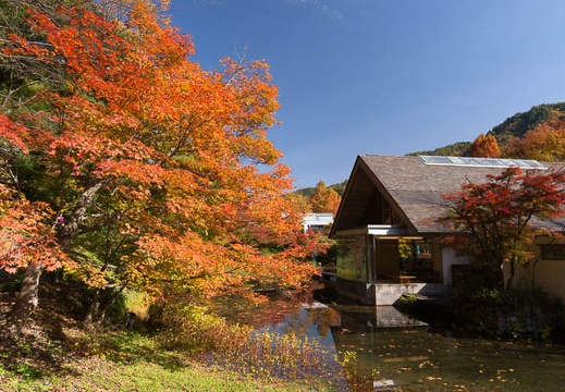 201411101239-DSC07614N6.jpg