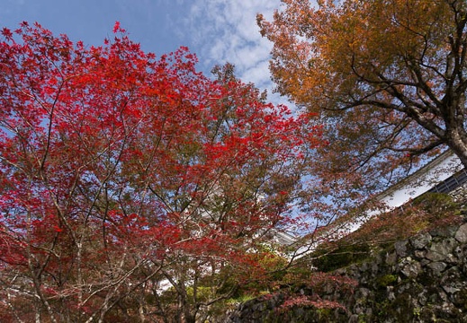 201411101321-DSC07677N6.jpg