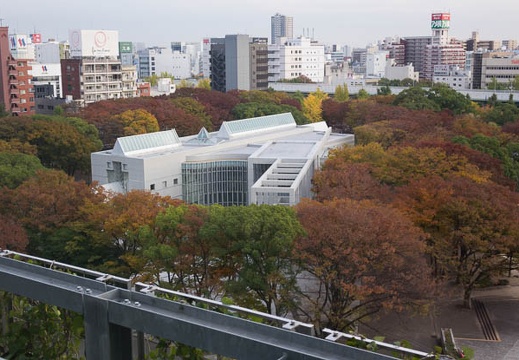 201411111536-DSC05669R10.jpg