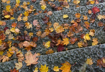 201411131018-DSC08043N6.jpg