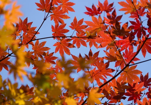 201411131020-DSC00561.jpg