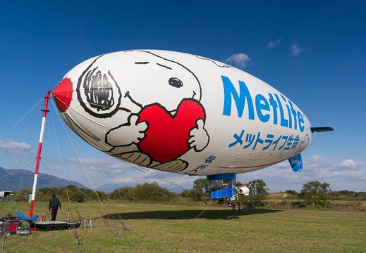 201411150930-DSC08497N6.jpg