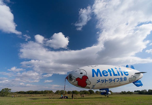 201411150936-DSC08532N6.jpg