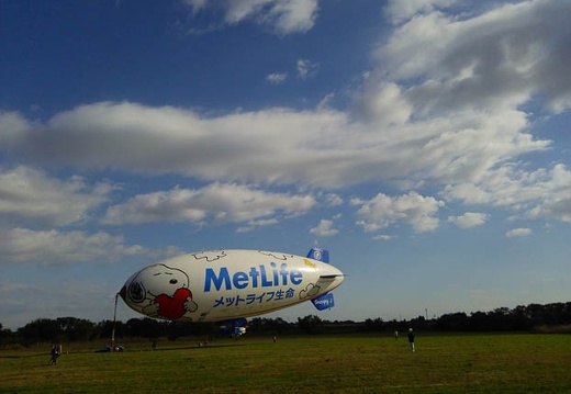20141115094220-SH-06F.jpg