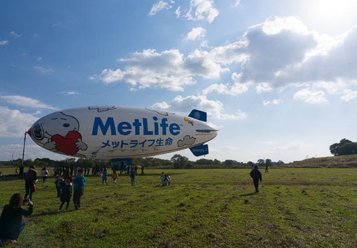 201411150957-DSC08553N6.jpg