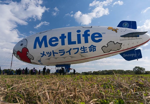 201411150958-DSC08555N6.jpg