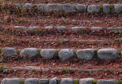 201411161009-DSC01148.jpg