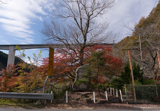 201411161146-DSC08968.jpg