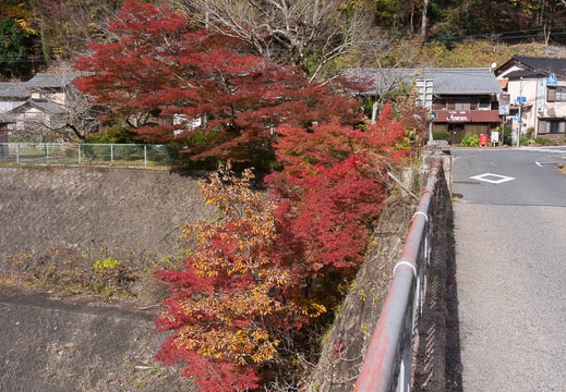 201411161151-DSC08989.jpg