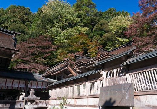 201411190920-DSC09578N6.jpg