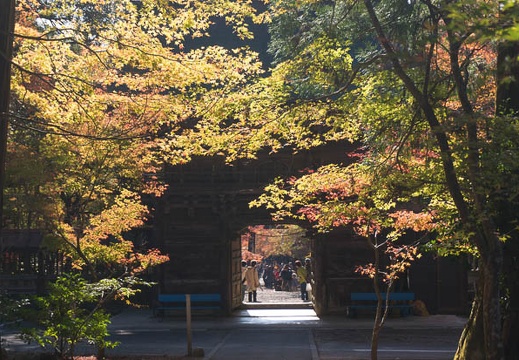201411190943-DSC09630N6.jpg