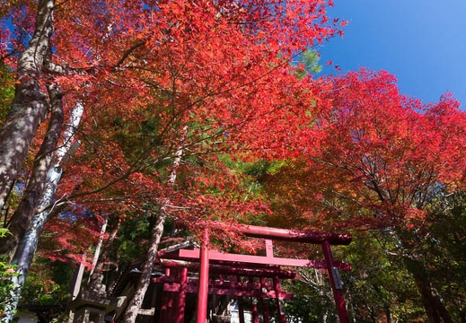 201411191100-DSC09668N6.jpg