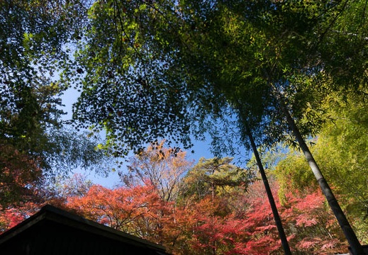 201411191110-DSC09676N6.jpg