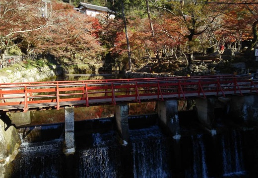 20141119112750-SH-06F.jpg