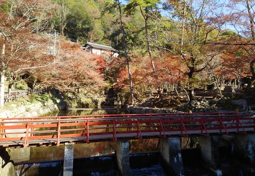20141119112801-SH-06F.jpg