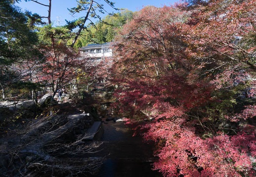 201411191144-DSC09769N6.jpg