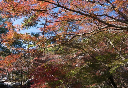201411191146-DSC09778N6.jpg