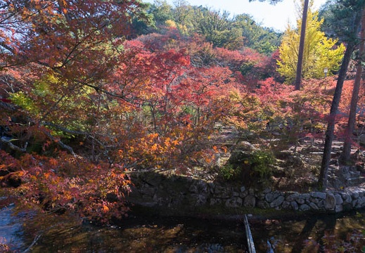201411191157-DSC09805N6.jpg