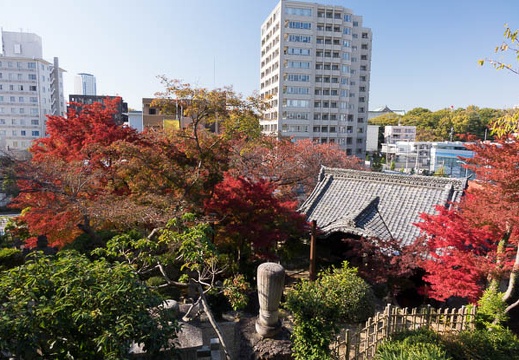 201411221234-DSC06154R10.jpg