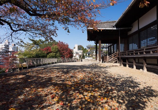 201411221237-DSC06170R10.jpg