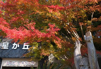 201411241001-DSC00237N6.jpg