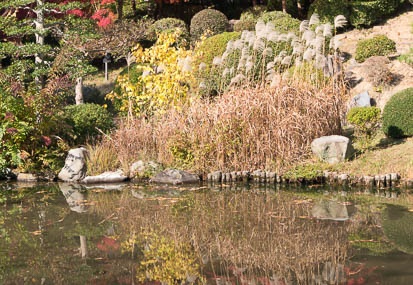201411241014-DSC00282N6.jpg