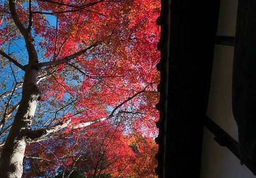 201411241139-DSC00565N6.jpg