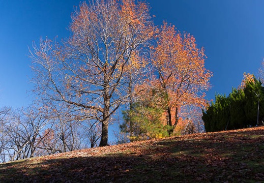 201411271006-DSC00836N6.jpg