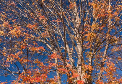 201411271051-DSC00953N6.jpg
