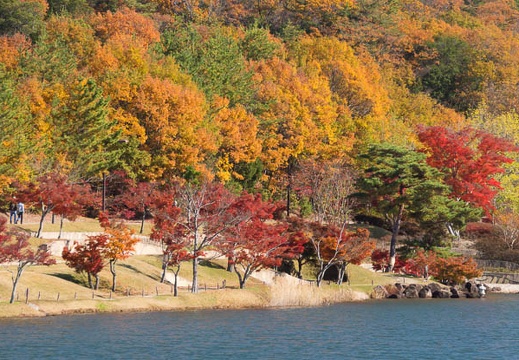 201411271102-DSC03697.jpg