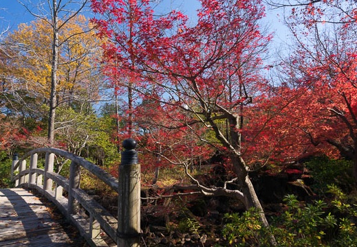 201411271147-DSC01098N6.jpg