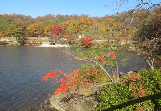 20141127115407-SH-06F.jpg