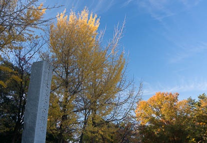 201411271457-DSC01318N6.jpg
