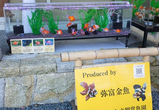 201411281359-DSC06732R10.jpg