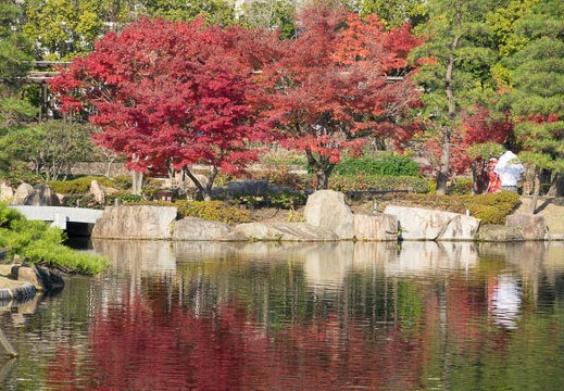 201411281401-DSC06746R10.jpg