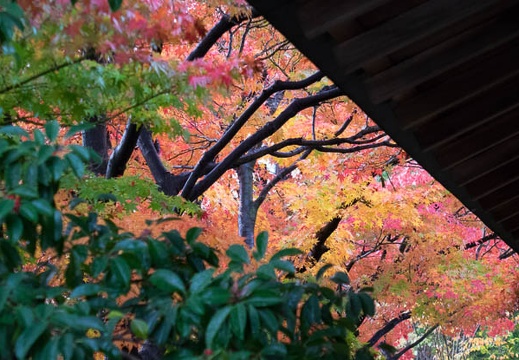 201411291140-DSC06869.jpg