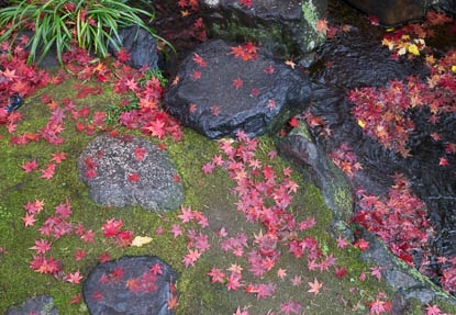 201411291207-DSC06955.jpg