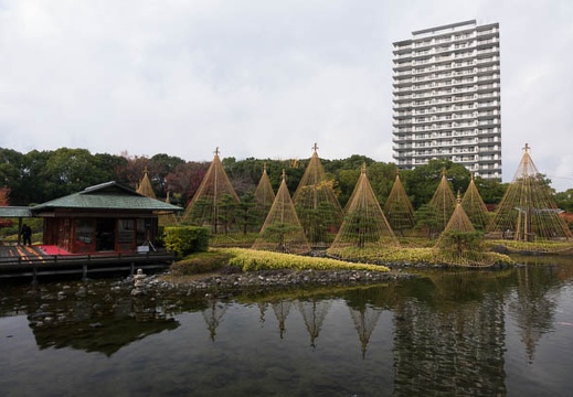 201411291219-DSC06999.jpg