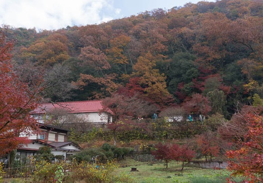 201411300936-DSC01380N6.jpg
