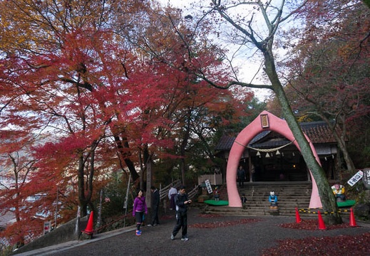 201411300955-DSC01461N6.jpg